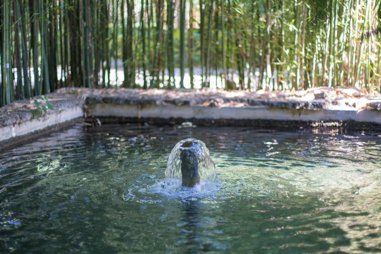 Las Aguas Del Arbuniel Con Pista De Padel Extérieur photo